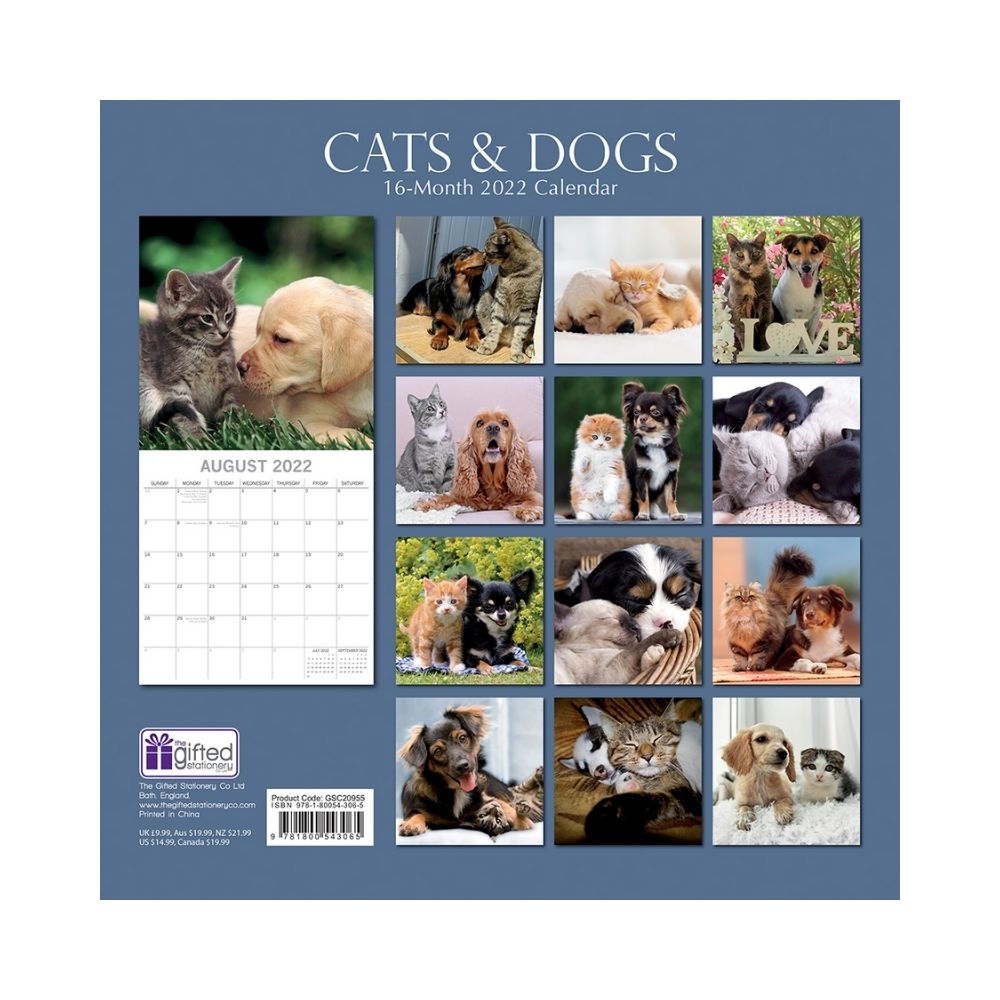 2022 Square Wall Calendar - Animals