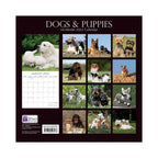 2022 Square Wall Calendar - Animals