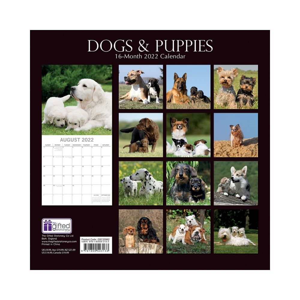 2022 Square Wall Calendar - Animals