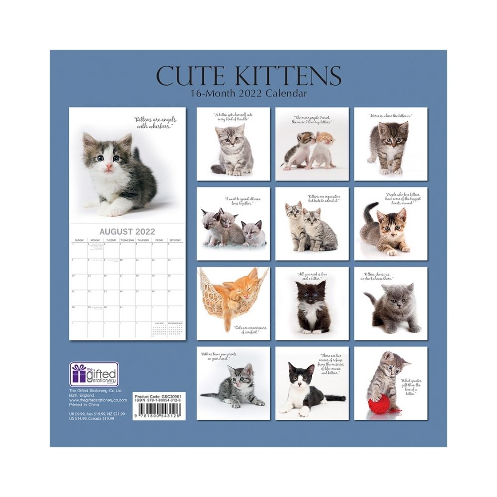 2022 Square Wall Calendar - Animals