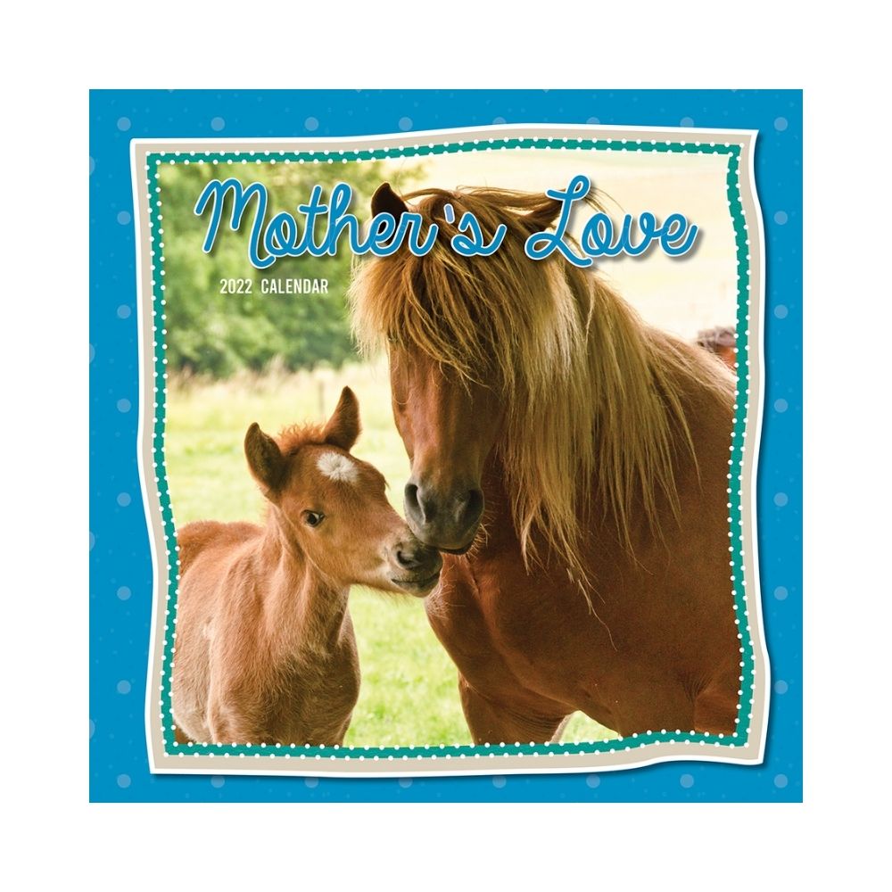 2022 Square Wall Calendar Animals - My Cute Range