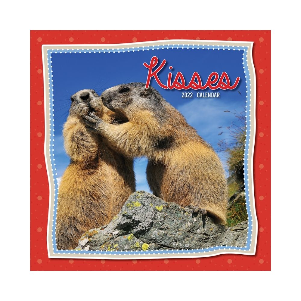 2022 Square Wall Calendar Animals - My Cute Range
