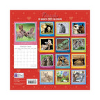 2022 Square Wall Calendar Animals - My Cute Range