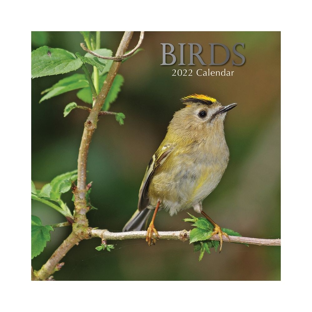 2022 Square Wall Calendar - Animals