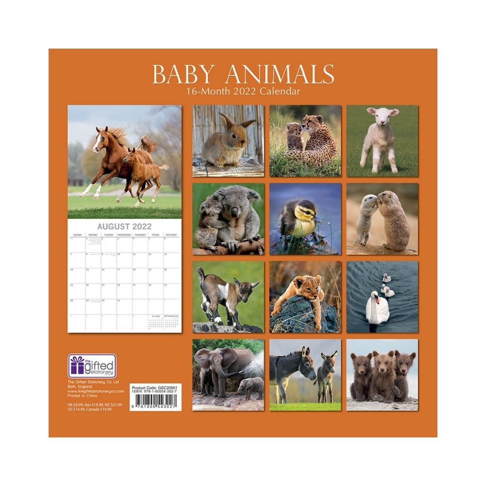 2022 Square Wall Calendar - Animals