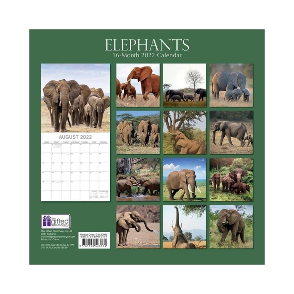 2022 Square Wall Calendar - Animals