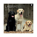 2022 Square Wall Calendar Animals - Pawprint