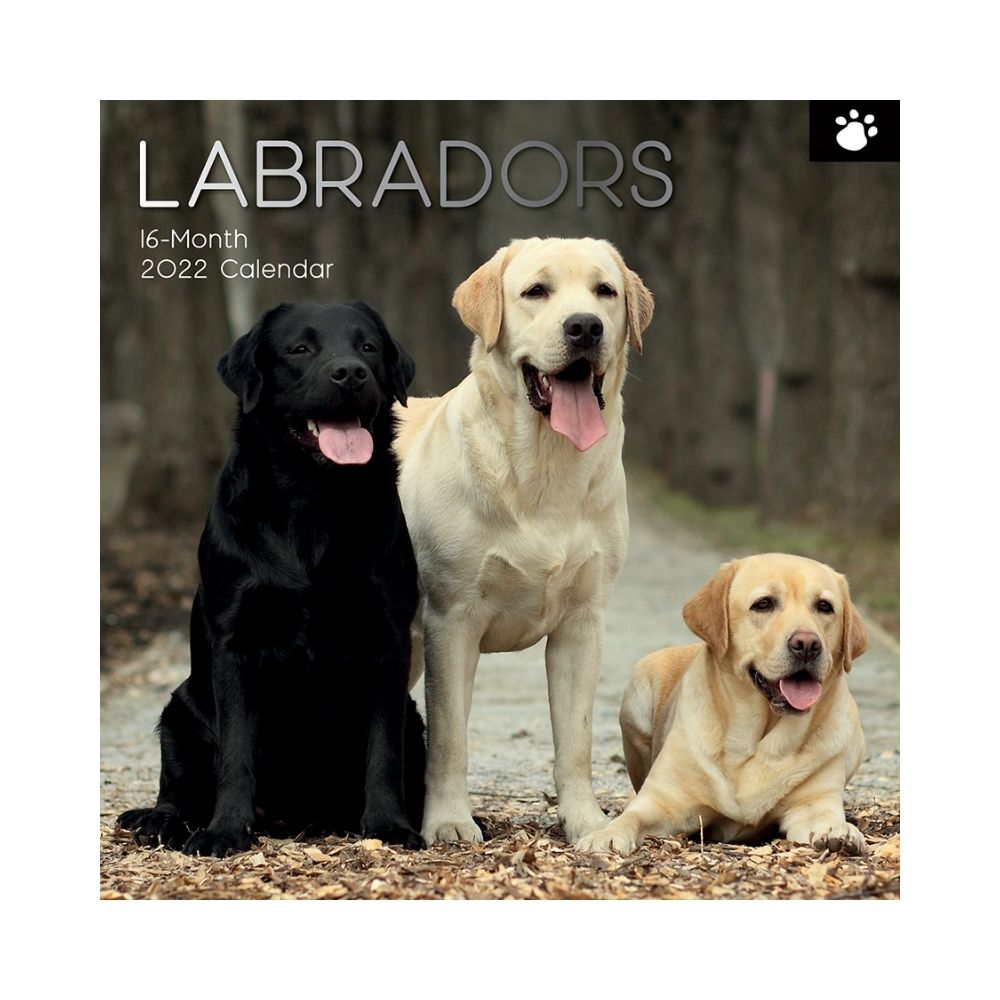 2022 Square Wall Calendar Animals - Pawprint