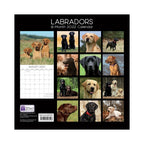 2022 Square Wall Calendar Animals - Pawprint