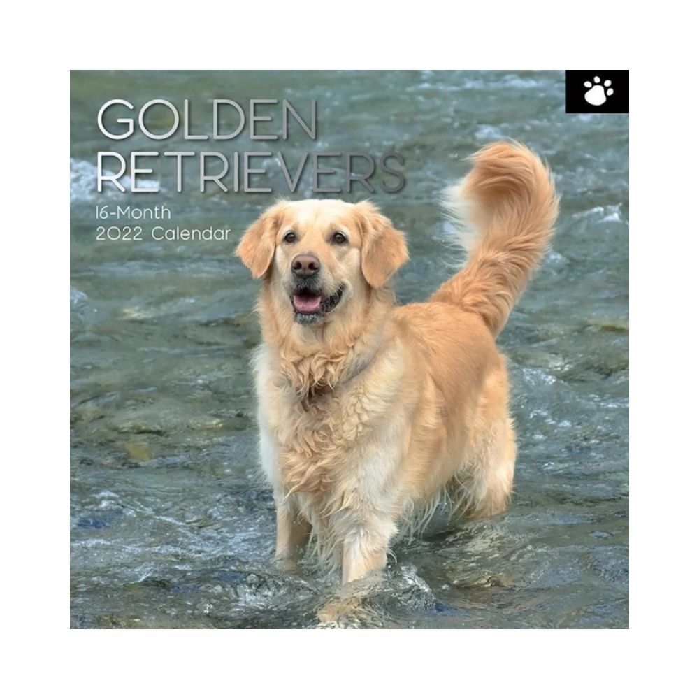 2022 Square Wall Calendar Animals - Pawprint