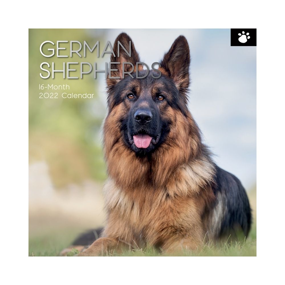 2022 Square Wall Calendar Animals - Pawprint