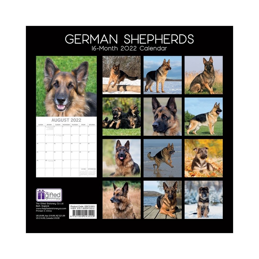 2022 Square Wall Calendar Animals - Pawprint