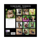 2022 Square Wall Calendar Animals - Pawprint