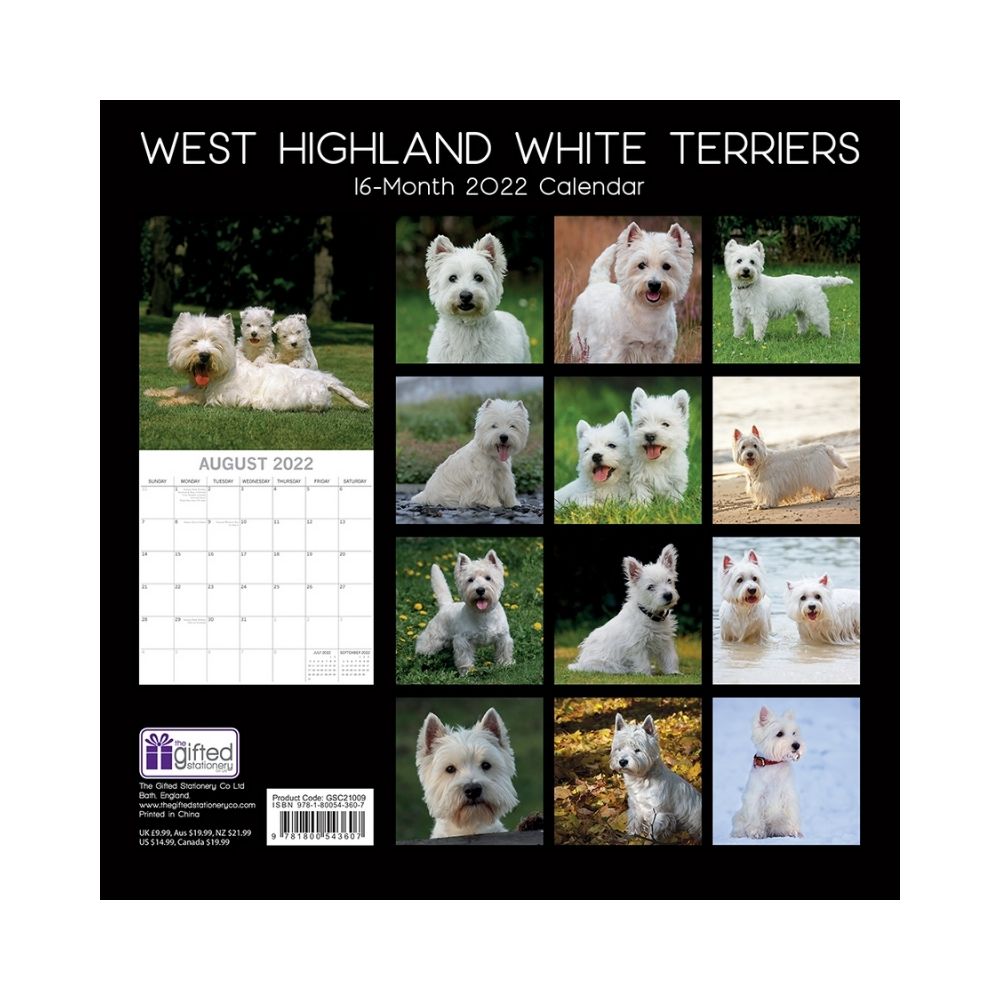 2022 Square Wall Calendar Animals - Pawprint