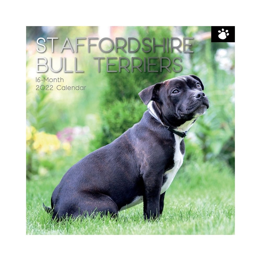 2022 Square Wall Calendar Animals - Pawprint