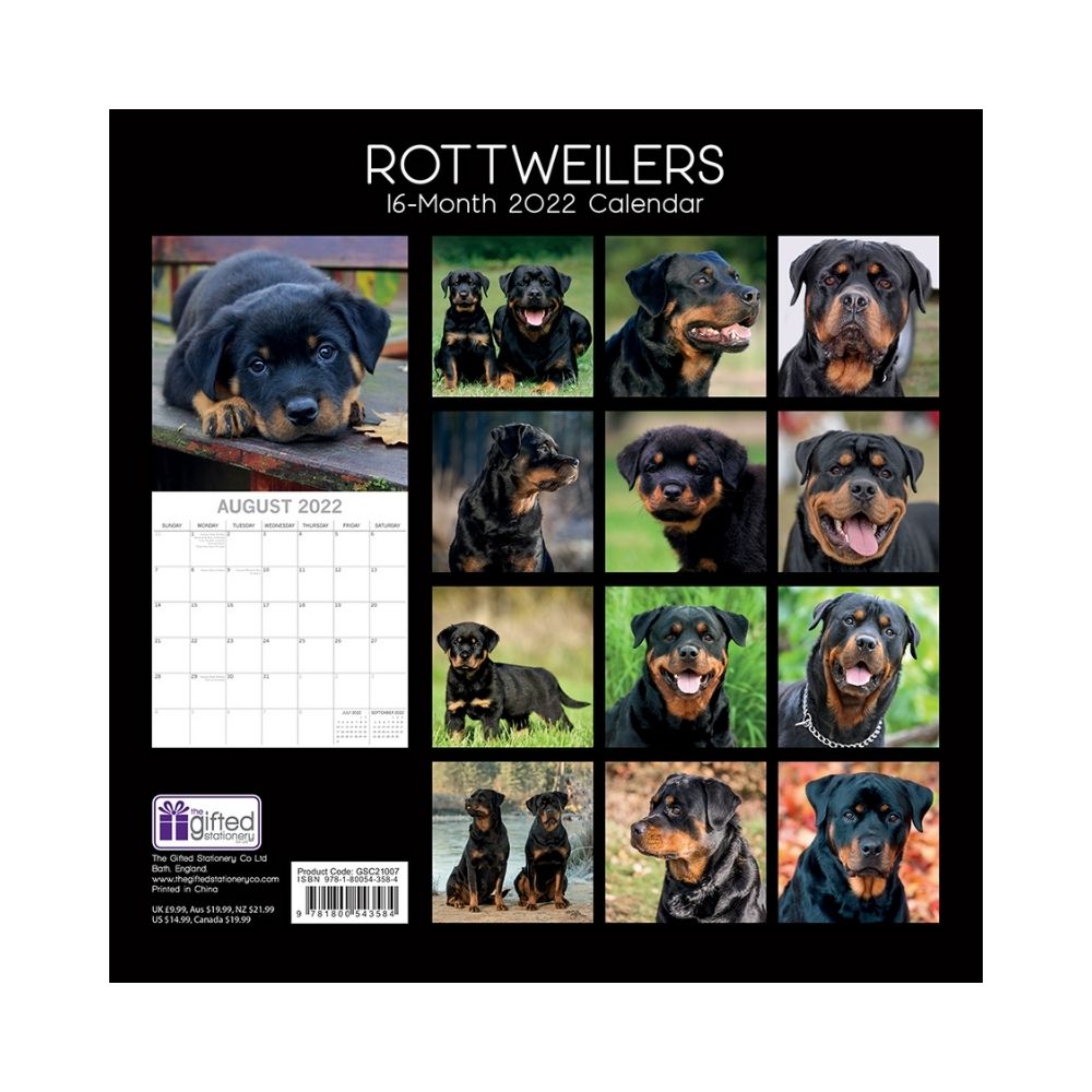 2022 Square Wall Calendar Animals - Pawprint