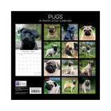 2022 Square Wall Calendar Animals - Pawprint