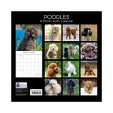 2022 Square Wall Calendar Animals - Pawprint