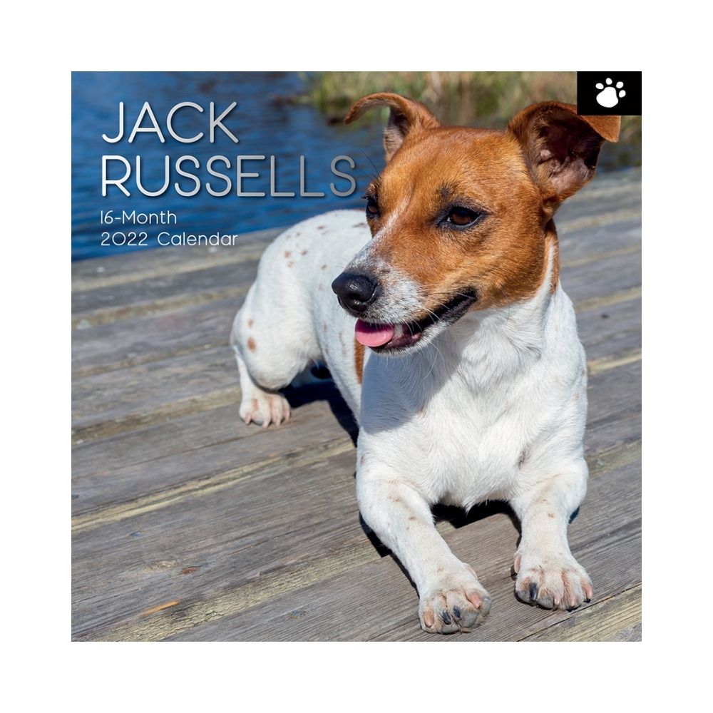 2022 Square Wall Calendar Animals - Pawprint