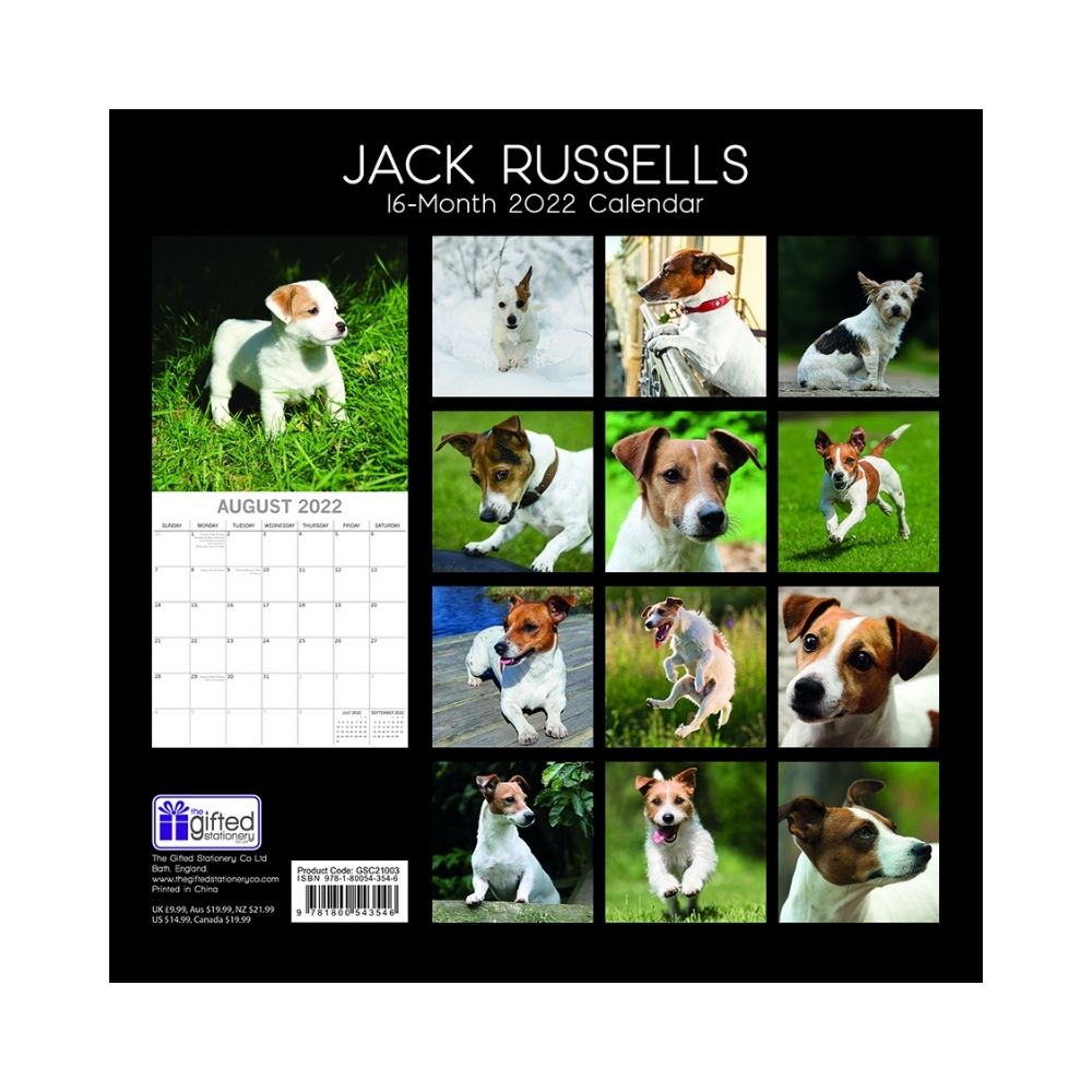 2022 Square Wall Calendar Animals - Pawprint