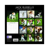 2022 Square Wall Calendar Animals - Pawprint