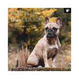 2022 Square Wall Calendar Animals - Pawprint