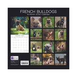 2022 Square Wall Calendar Animals - Pawprint