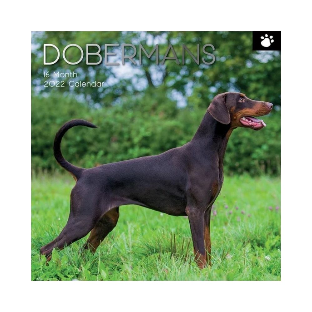 2022 Square Wall Calendar Animals - Pawprint