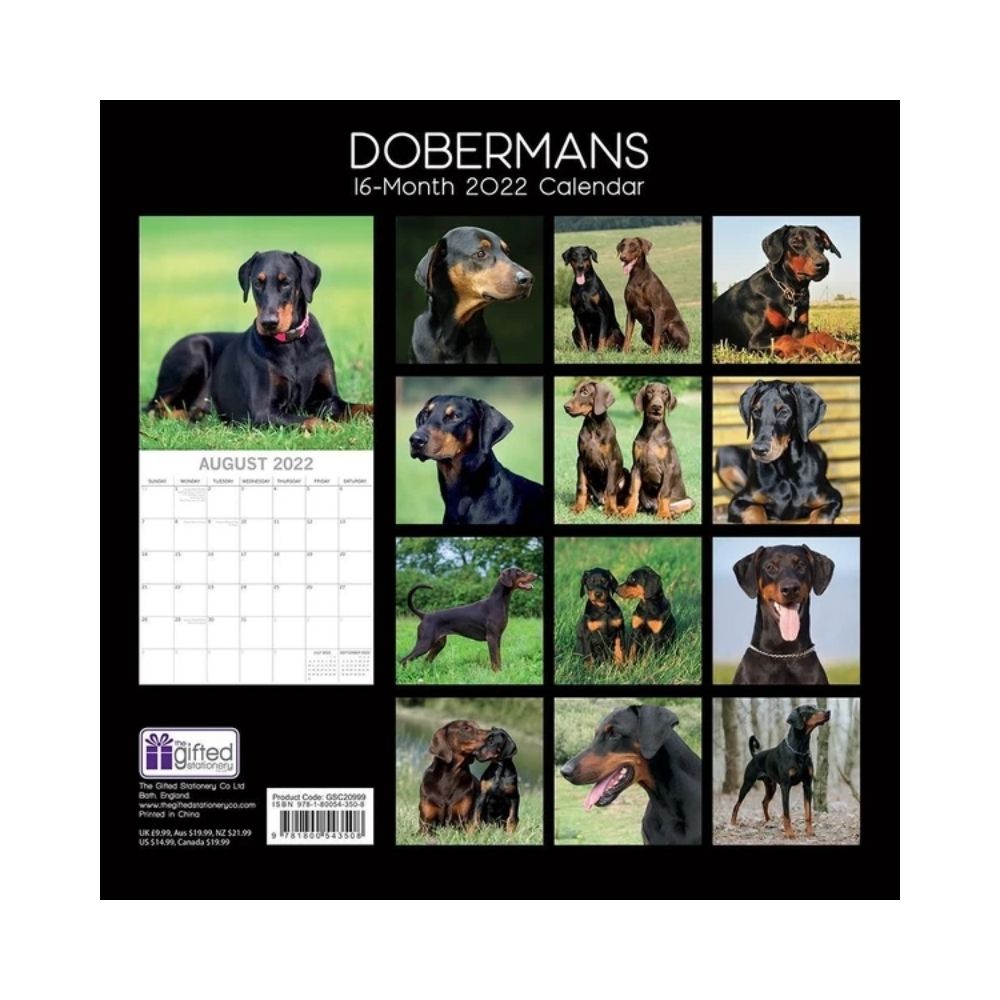 2022 Square Wall Calendar Animals - Pawprint