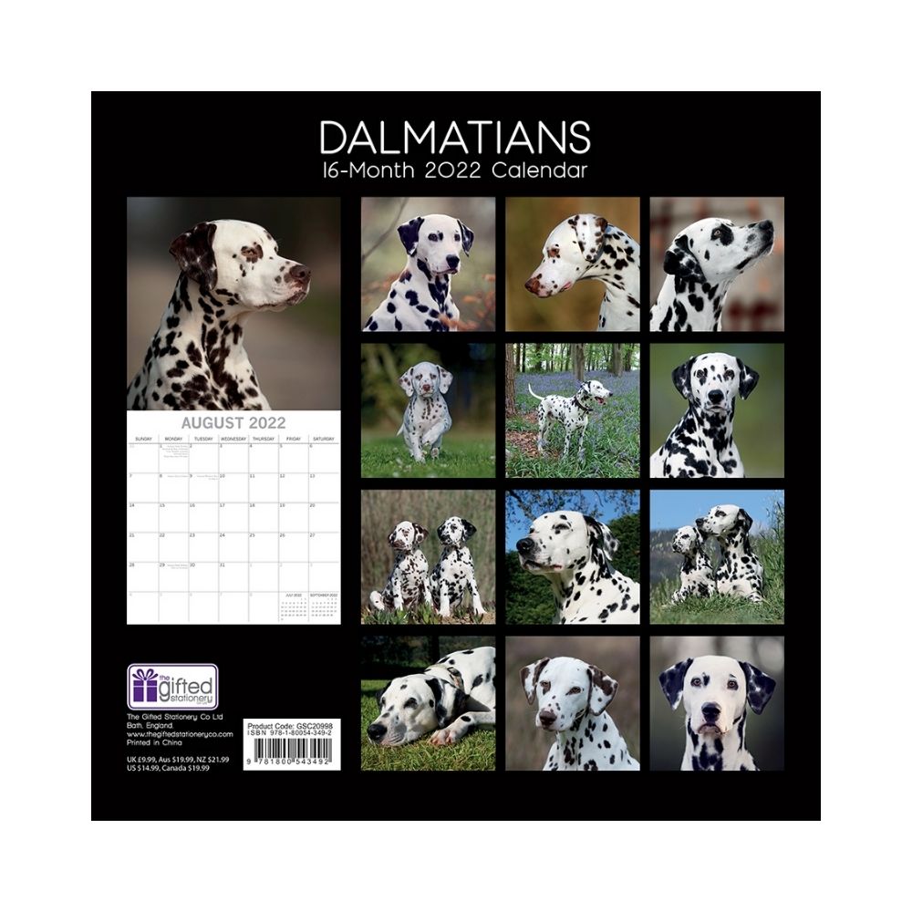 2022 Square Wall Calendar Animals - Pawprint
