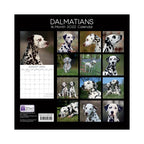 2022 Square Wall Calendar Animals - Pawprint