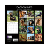 2022 Square Wall Calendar Animals - Pawprint