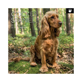 2022 Square Wall Calendar Animals - Pawprint