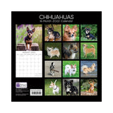 2022 Square Wall Calendar Animals - Pawprint