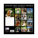 2022 Square Wall Calendar Animals - Pawprint