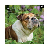 2022 Square Wall Calendar Animals - Pawprint