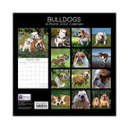 2022 Square Wall Calendar Animals - Pawprint