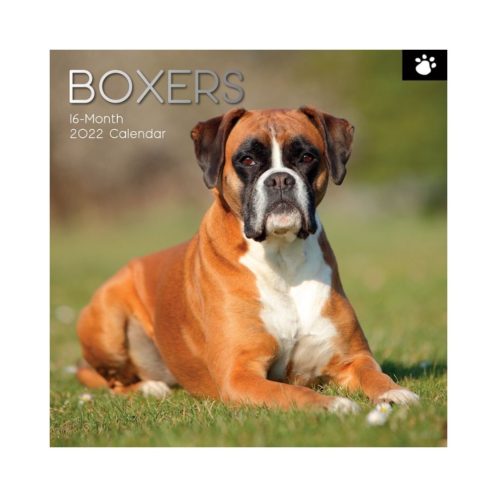 2022 Square Wall Calendar Animals - Pawprint