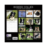 2022 Square Wall Calendar Animals - Pawprint