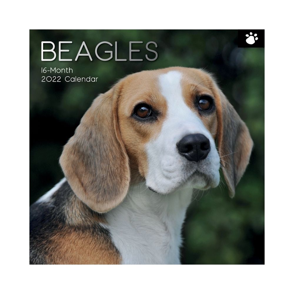 2022 Square Wall Calendar Animals - Pawprint