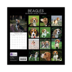 2022 Square Wall Calendar Animals - Pawprint