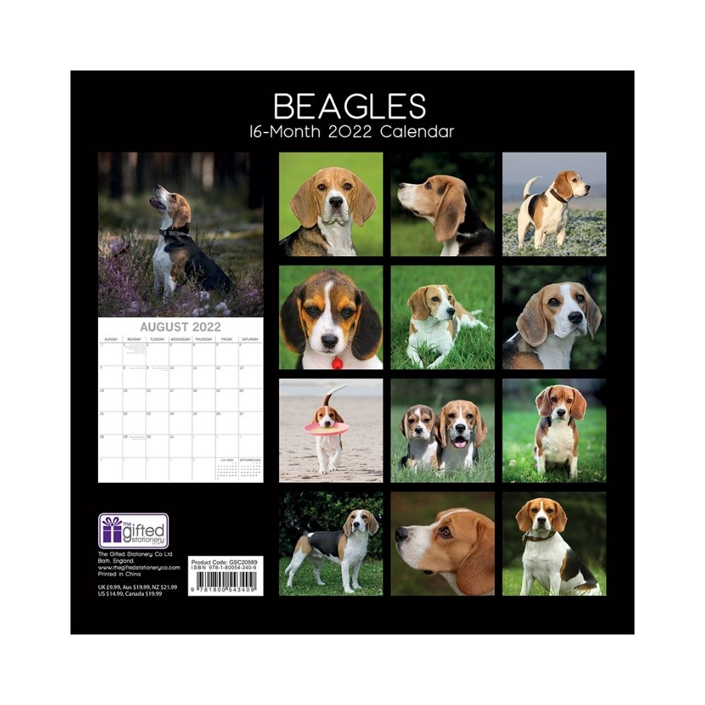 2022 Square Wall Calendar Animals - Pawprint