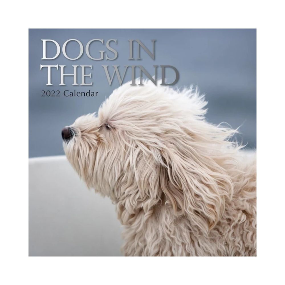 2022 Square Wall Calendar Animals - Humour