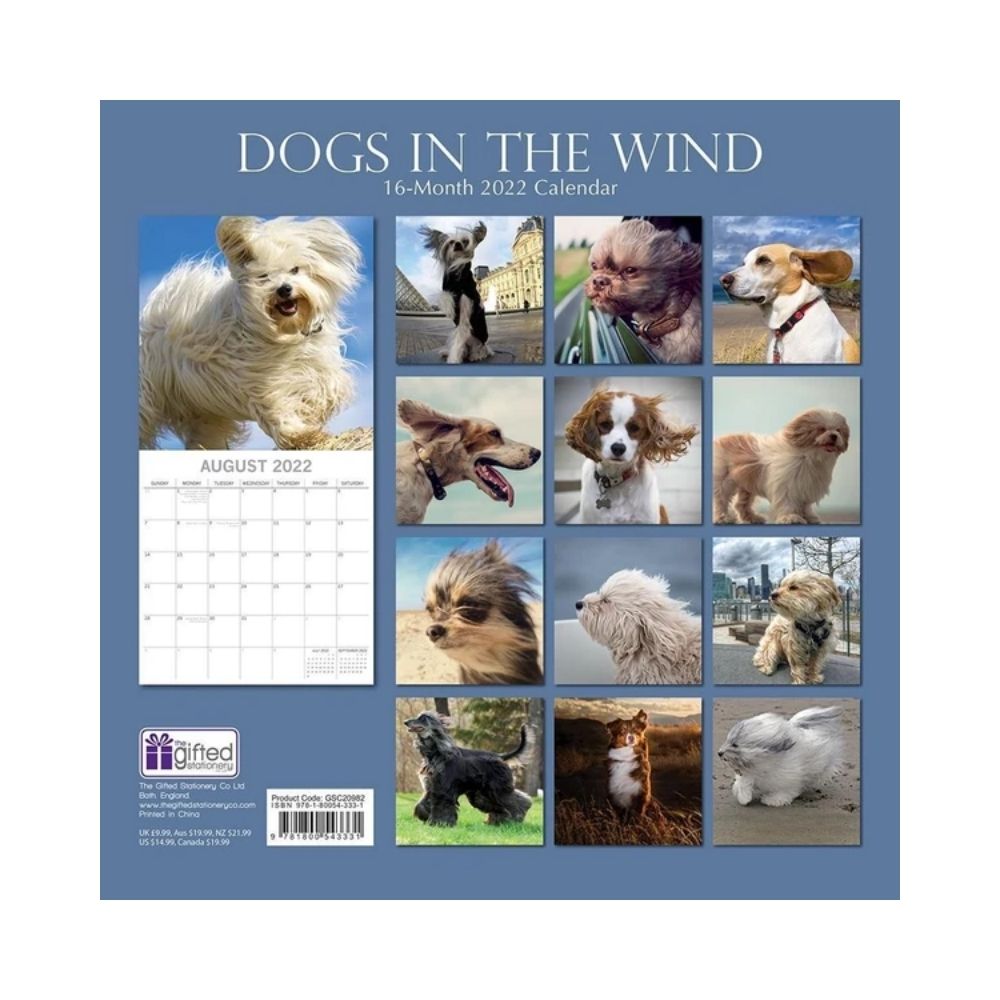 2022 Square Wall Calendar Animals - Humour