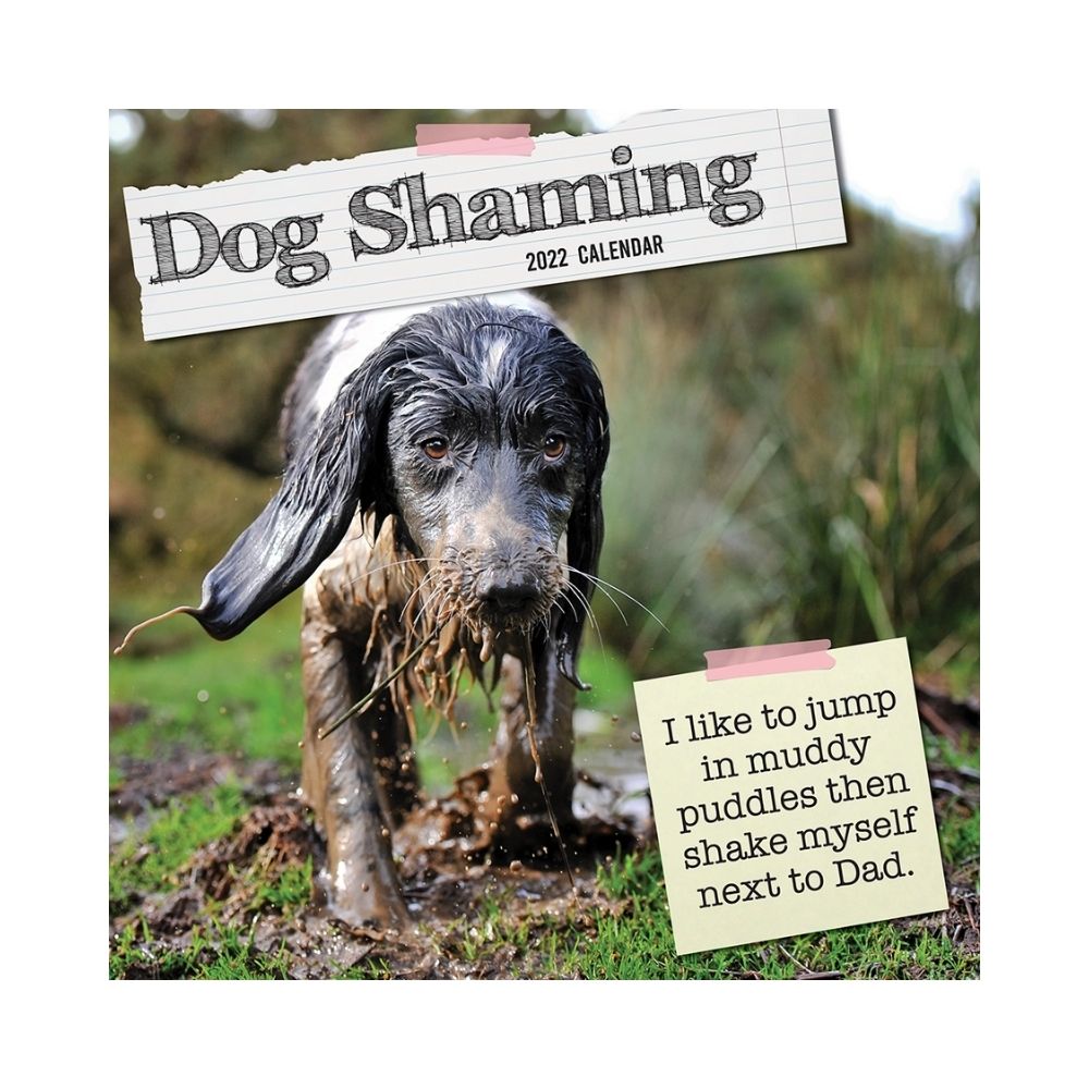 2022 Square Wall Calendar Animals - Humour