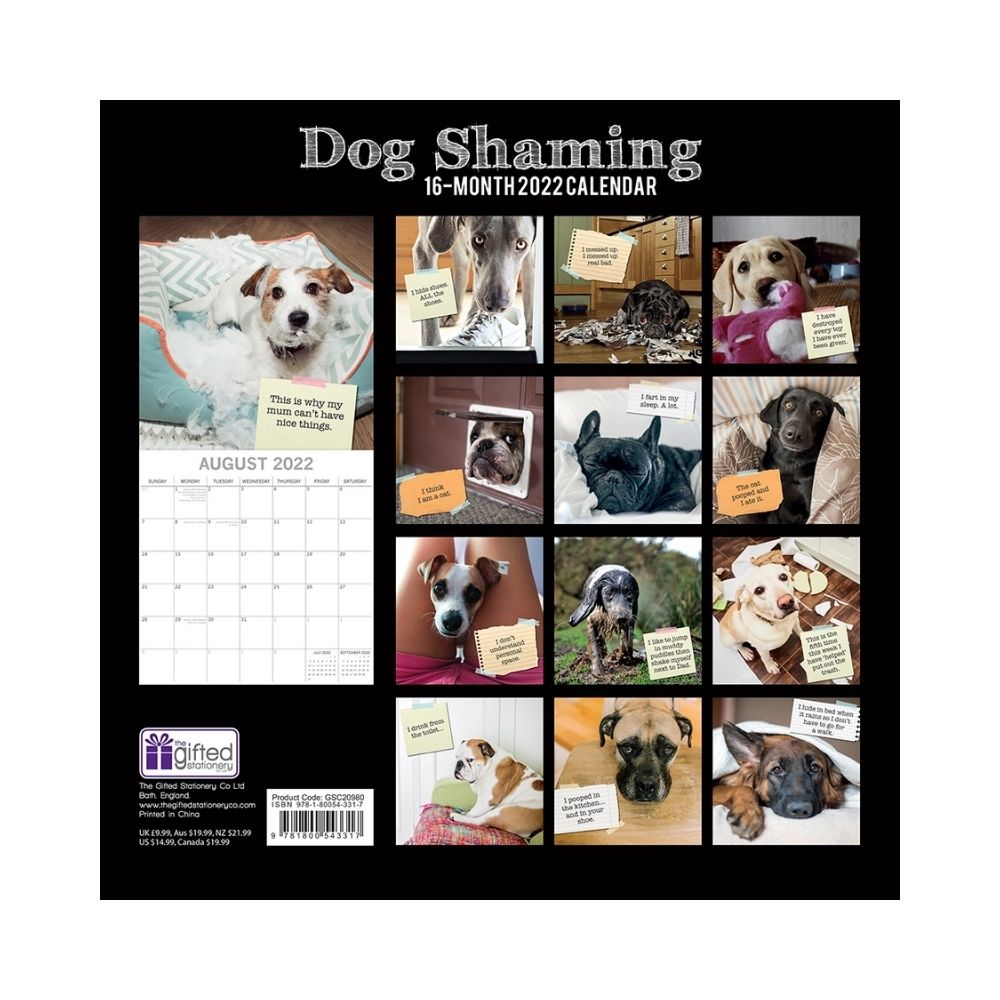 2022 Square Wall Calendar Animals - Humour