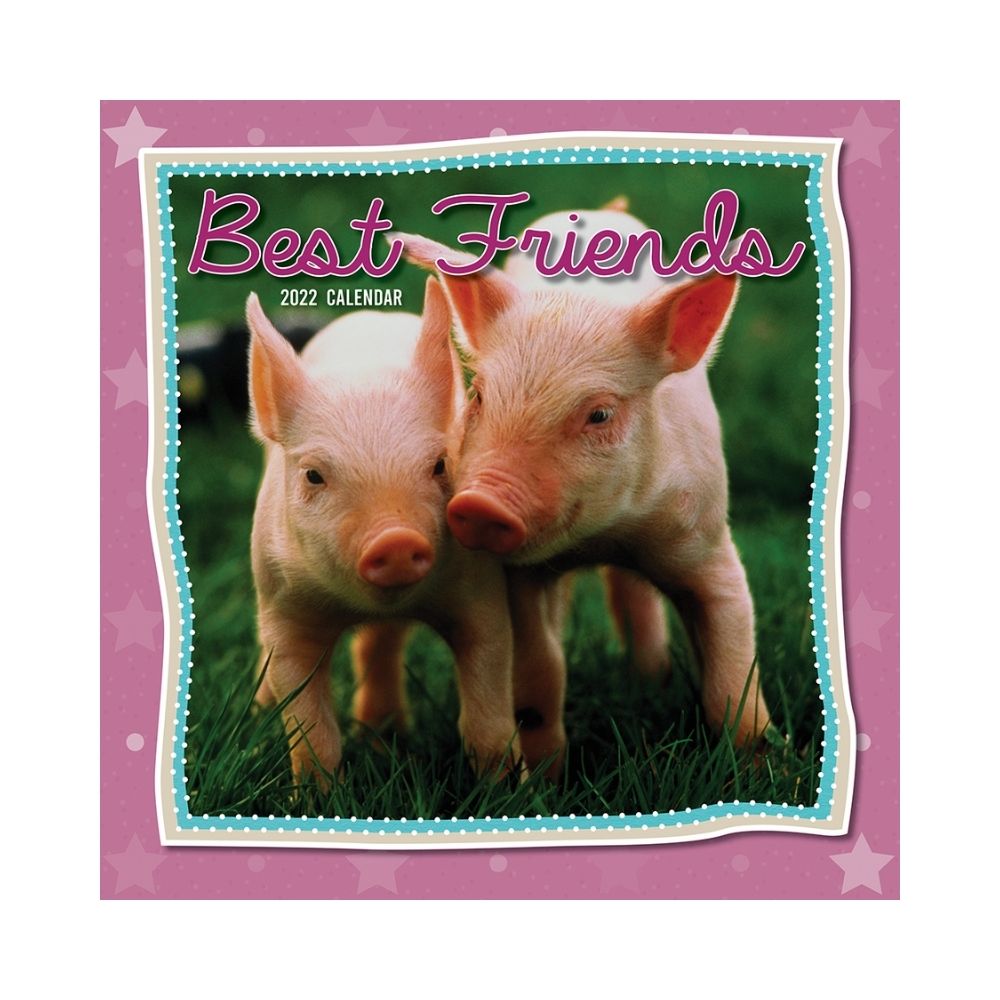 2022 Square Wall Calendar Animals - My Cute Range