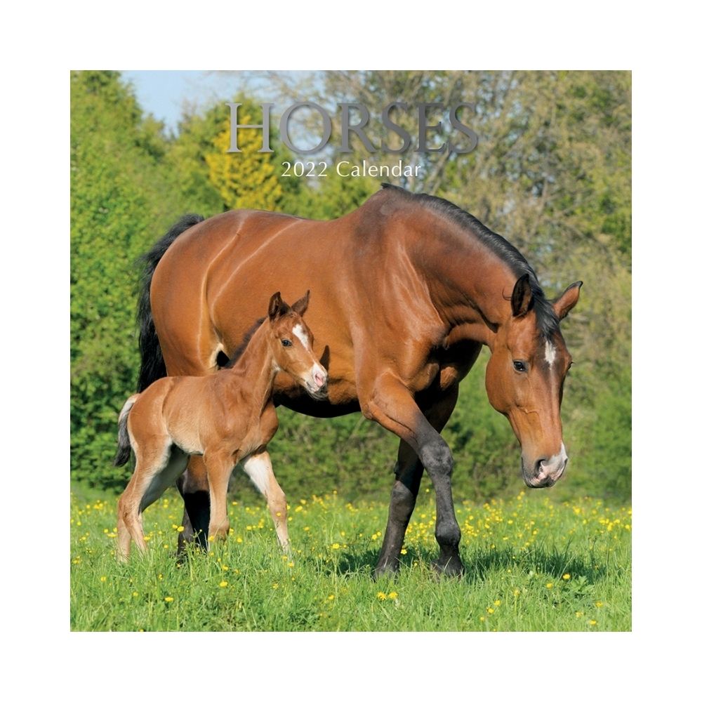 2022 Square Wall Calendar - Animals