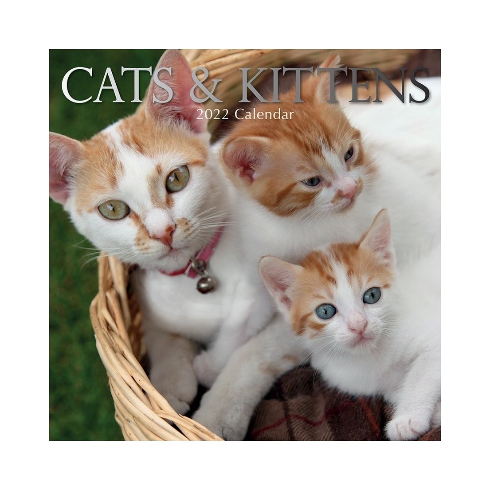 2022 Square Wall Calendar - Animals