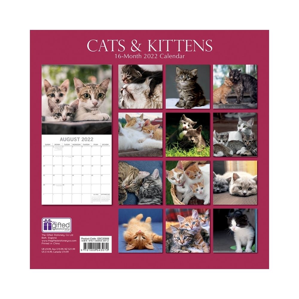 2022 Square Wall Calendar - Animals